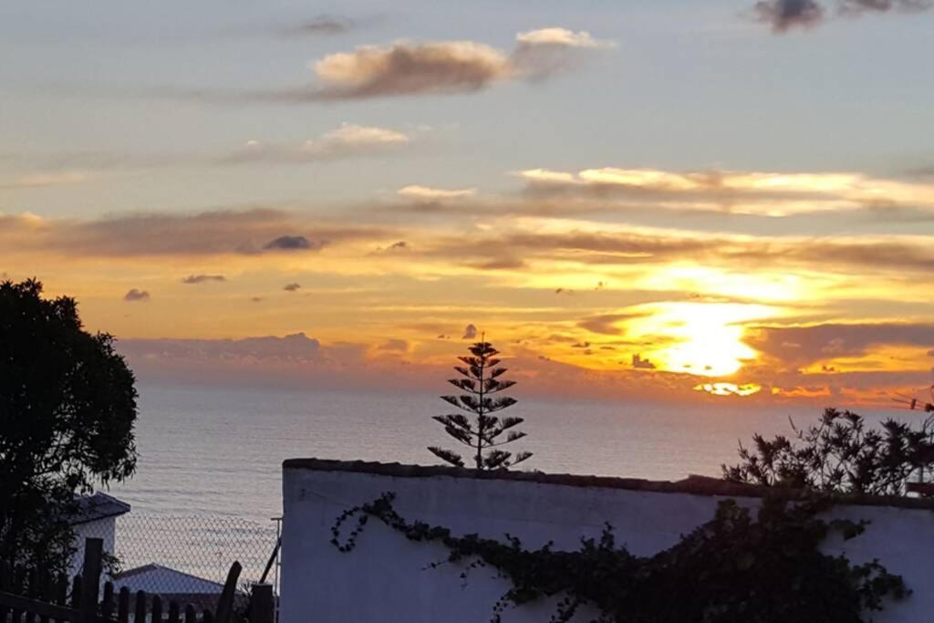 Playa Y Naturaleza