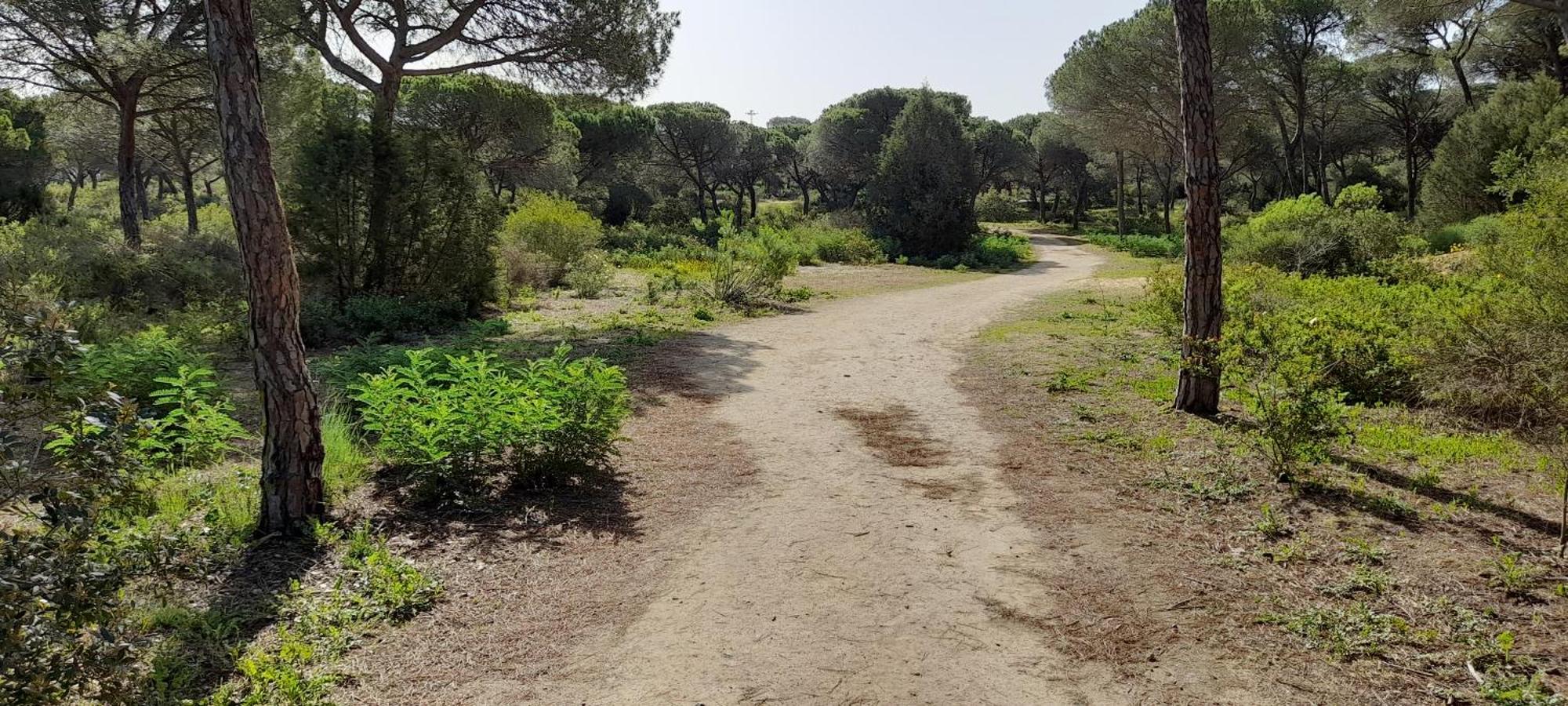 Apartment Playa Y Naturaleza